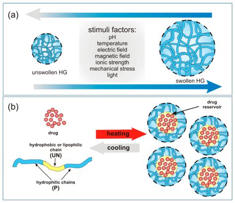  Wool-Derived Biomaterial: Unveiling the Hidden Potential of Fleece for Bone Regeneration!