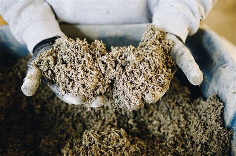 ¡Hempcrete: Un material revolucionario para la construcción sostenible y el aislamiento térmico excepcional!