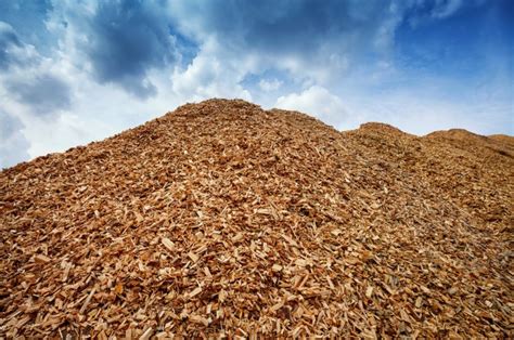  ¿Woodchips: Un tesoro escondido para la producción de biomasa?